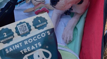 Saint Rocco's Treats | What Dog Treats Are Healthy for a Puppy?