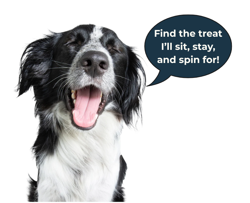 Dog with a speech bubble saying 'Find the treat I'll sit, stay, and spin for!' on a transparent background