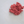 Load image into Gallery viewer, Saint Rocco's Beef Entree