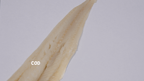 A white cod fillet transitions into a salmon fillet, each labeled, highlighting the quality fish ingredients featured in Saint Rocco's Cod & Salmon Entree by Saint Rocco's Treats.