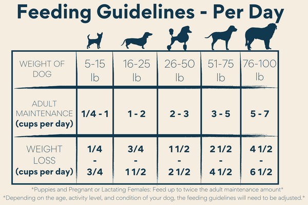 A chart titled Feeding Guidelines - Per Day shows daily dog food amounts by weight for adult maintenance and weight loss, ranging from 5–100 lbs and 1/4 to 7 cups. Illustrations of dog sizes are shown above the chart.