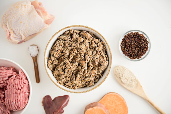 Saint Rocco's Poultry Entree by Saint Rocco's Treats features a ground meat blend surrounded by raw chicken, liver, sweet potato slices, seeds, flour, and salt—ideal ingredients for nutritious homemade dog food.