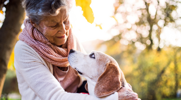 How to Be a Great “Grandparent” to a Dog