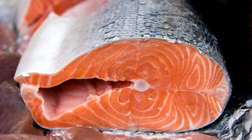 The Benefits of Feeding Your Dog Salmon