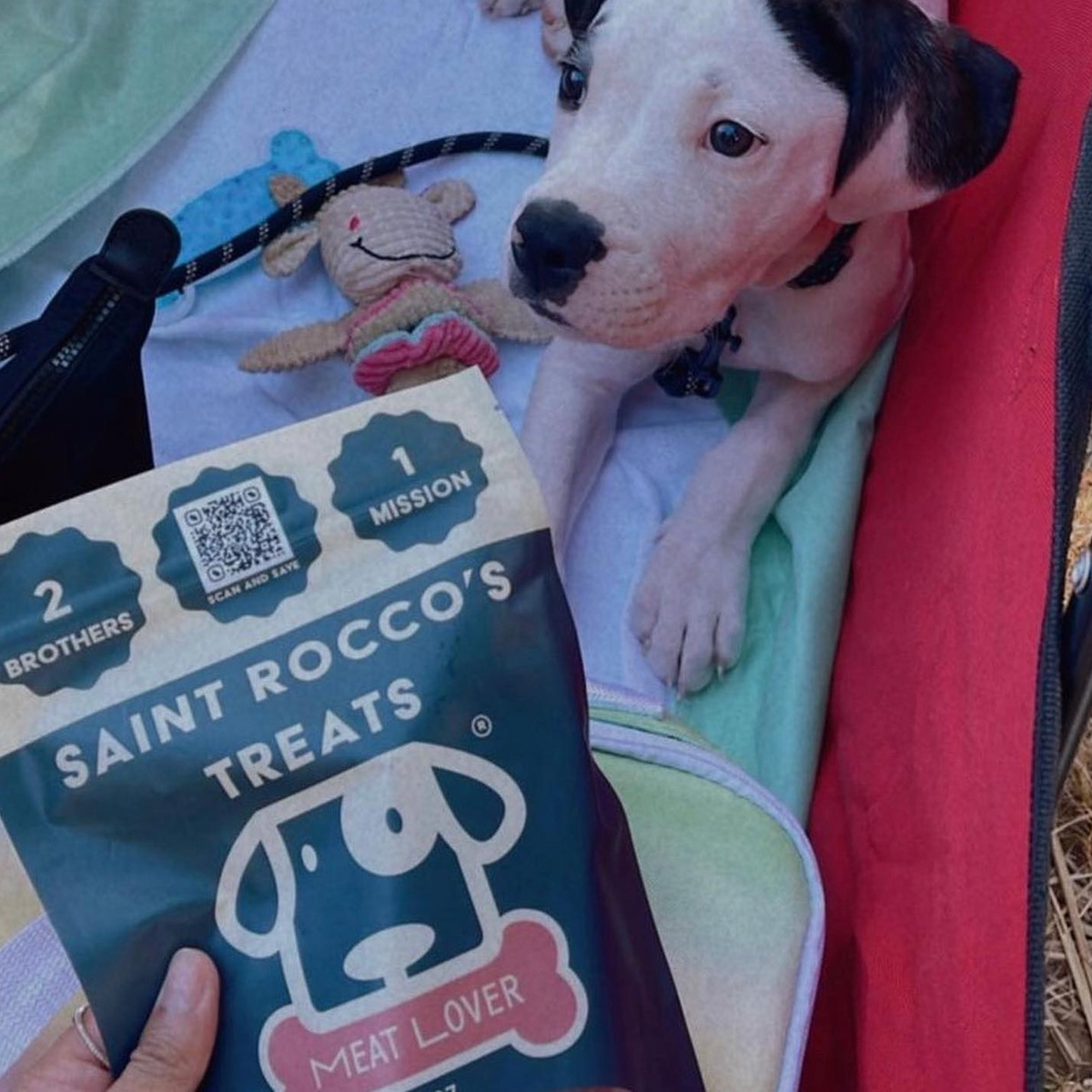 Saint Rocco's Treats | What Dog Treats Are Healthy for a Puppy?