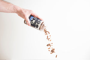 A hand tilts a jar labeled with a panda, pouring out dried mealworms against a plain white background.