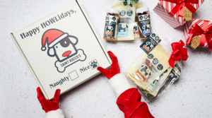 A person in red Santa gloves holds a festive Saint Roccos dog treat box that says Happy HOWLidays. Nearby are dog treats and wrapped gifts on a white, speckled surface.