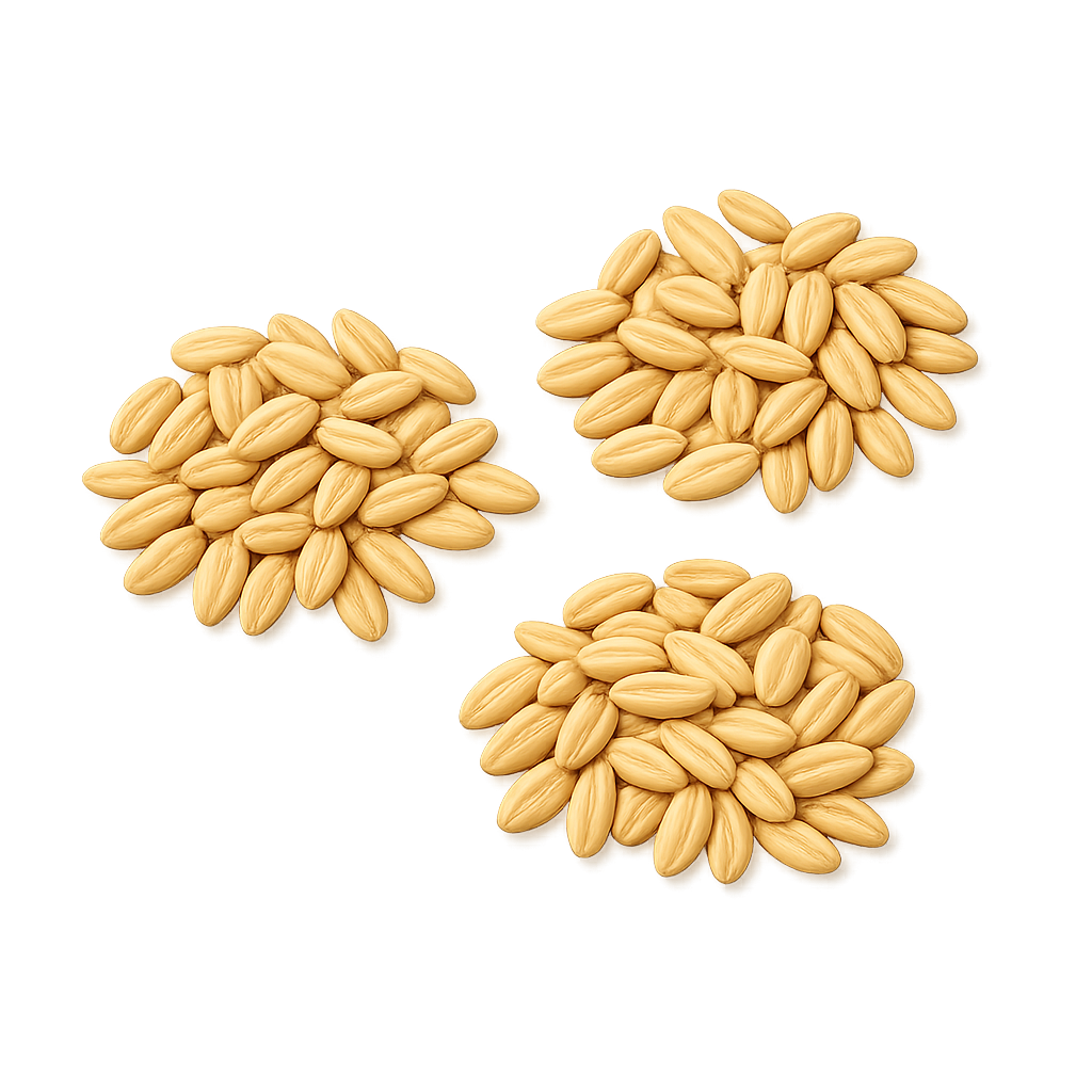 Barley