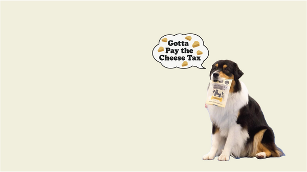 Cheeseburger Treat Offer for National Cheese Tax Day
