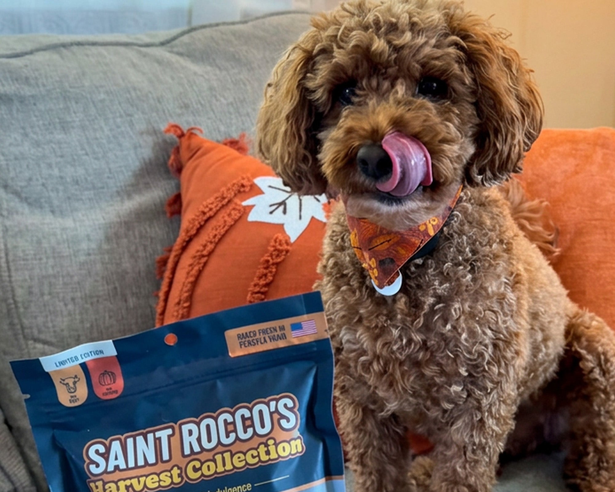 Treats