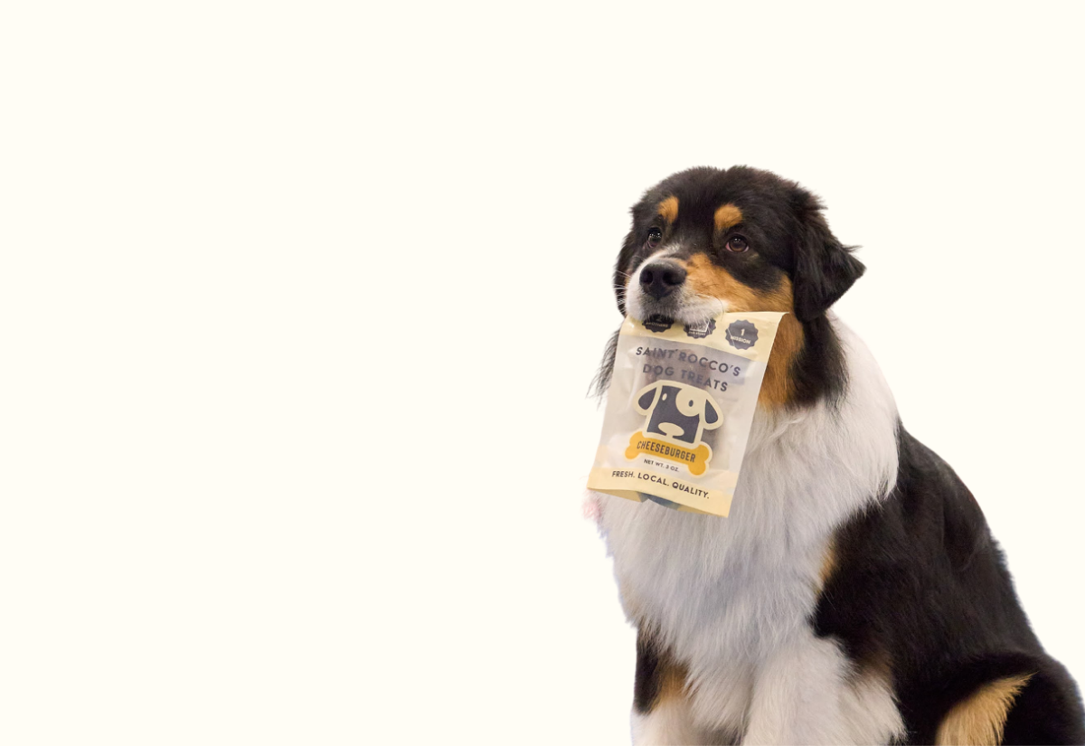 Dog holding a bag of Saint Rocco's Cheeseburger Treats on a white background