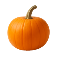 Orange pumpkin with a green stem on a white background
