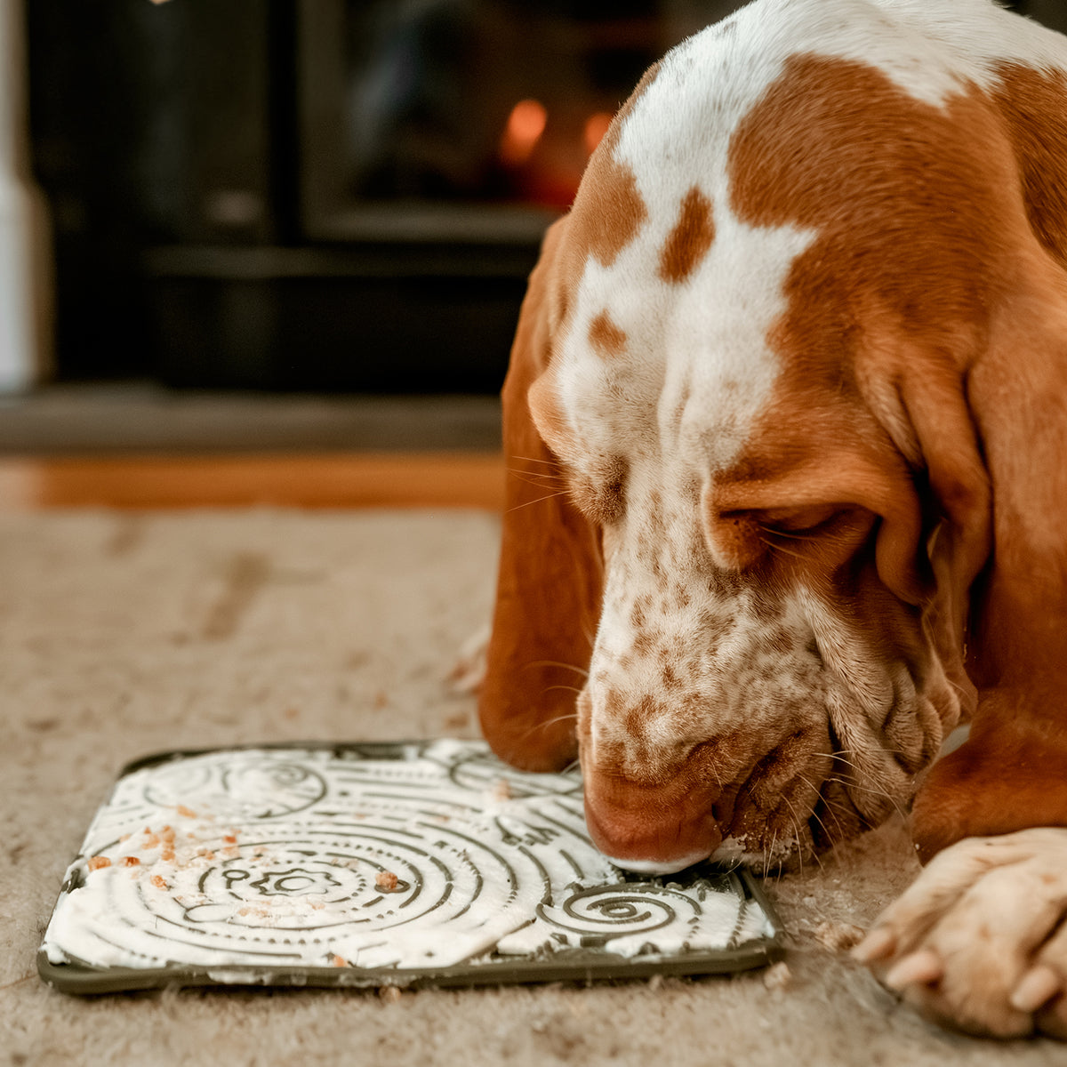 A brown and white dog enjoying a square lick mat of yogurt and Saint Rocco's Turkey Sprinkles for enrichment in front of a blurred fireplace.