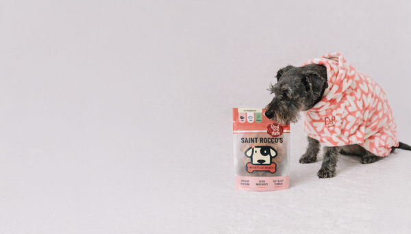 Dog wearing a pink checkered raincoat next to a bag of Saint Nicolas dog food on a light gray background