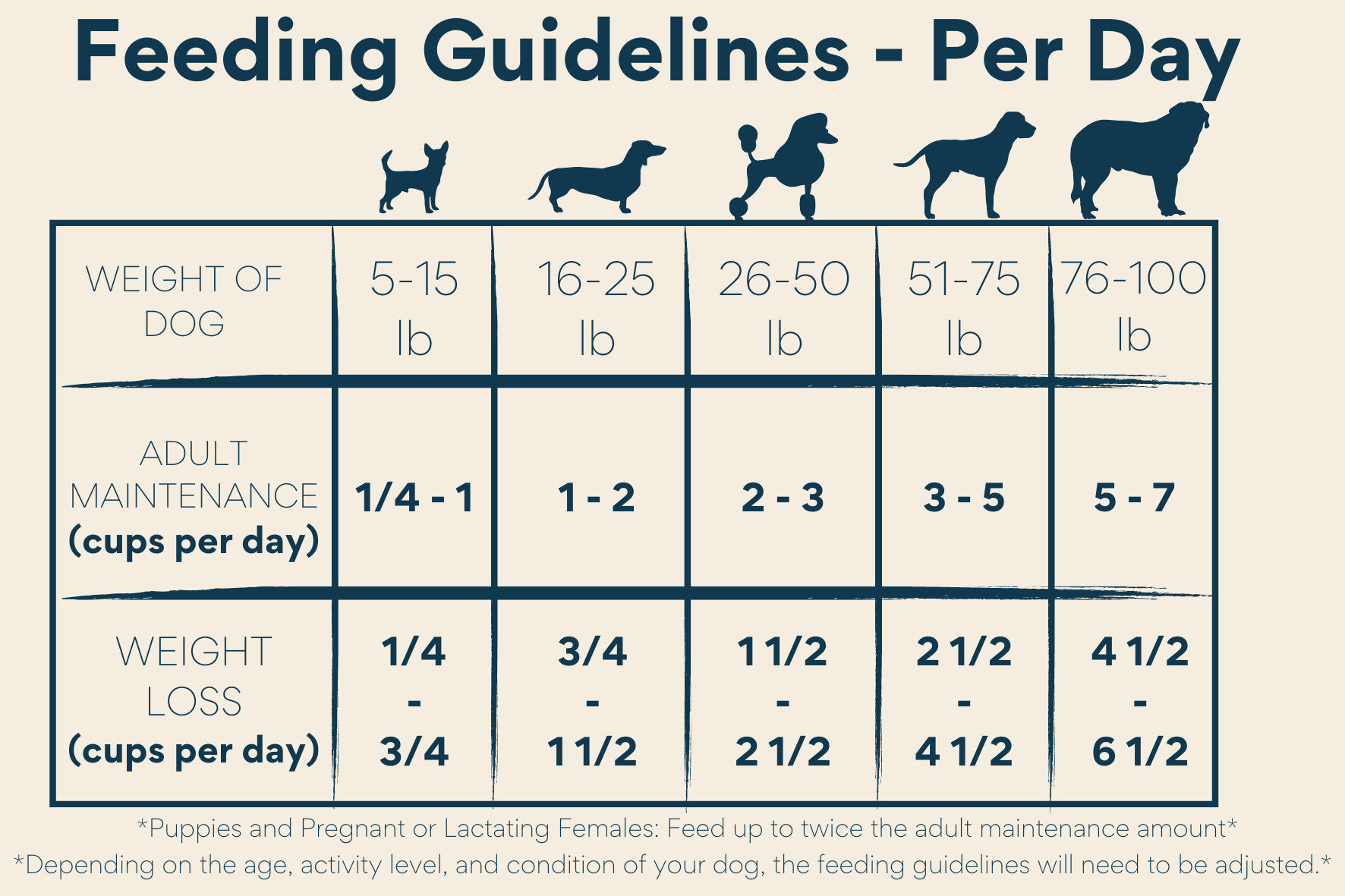 A chart titled Feeding Guidelines - Per Day shows daily dog food amounts by weight for adult maintenance and weight loss, ranging from 5–100 lbs and 1/4 to 7 cups. Illustrations of dog sizes are shown above the chart.